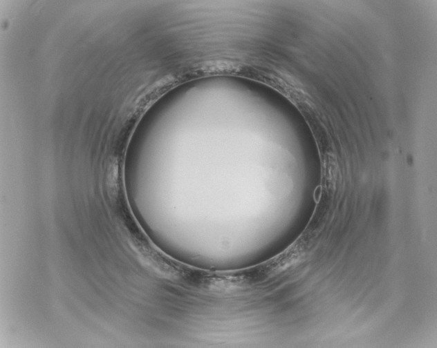 X0000070880550200607071950