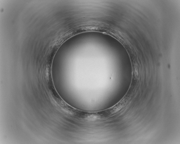 X0000070880551200607071950