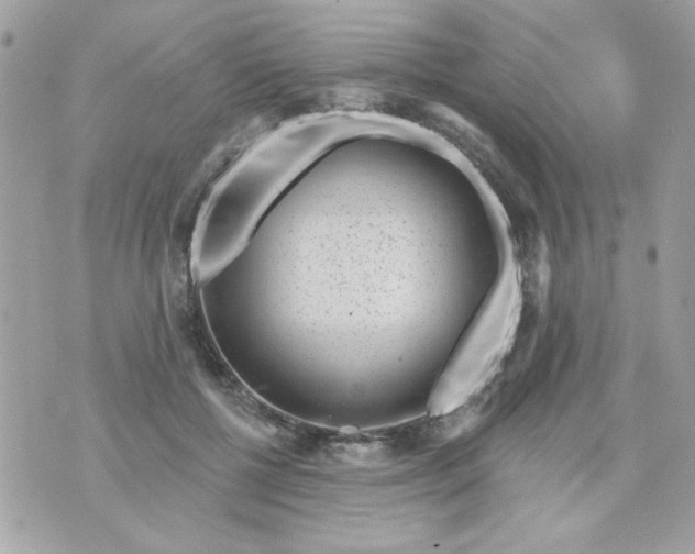 X0000070880552200607071950