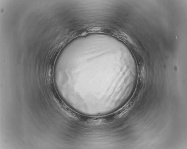 X0000070880553200607071950