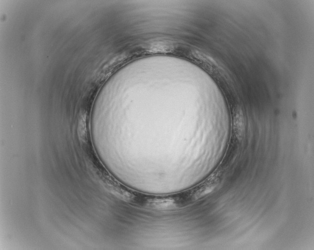 X0000070880554200607071950