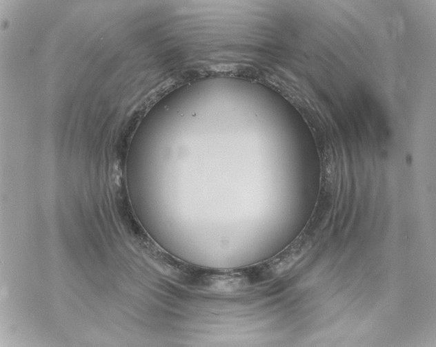 X0000070880555200607071950