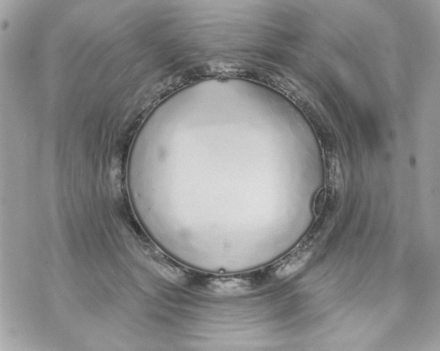 X0000070880557200607071950