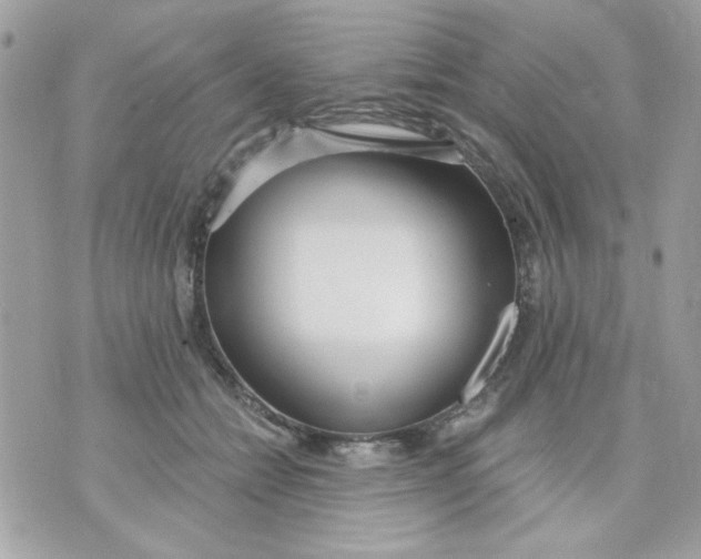 X0000070880558200607071950