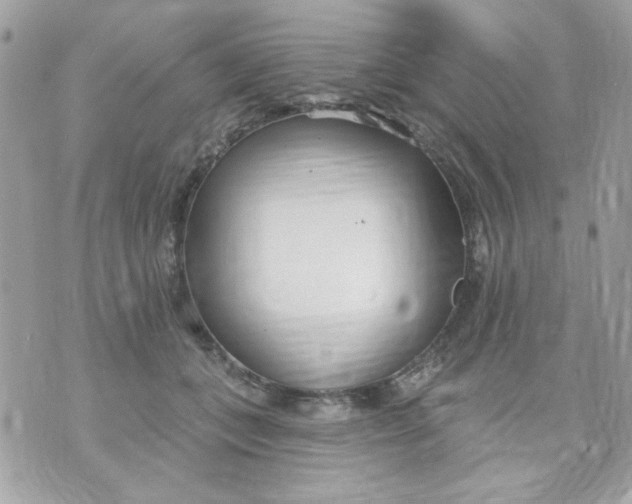 X0000070880559200607071950