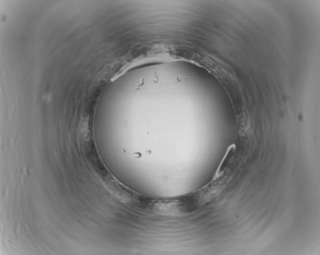 X0000070880560200607071950