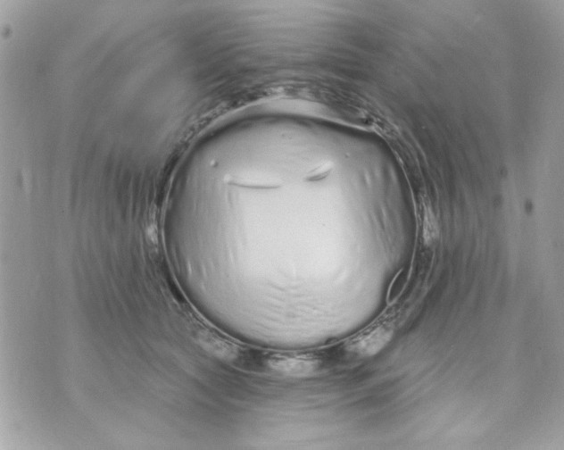 X0000070880561200607071950