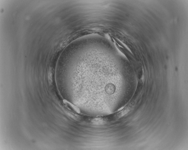 X0000070880562200607071950