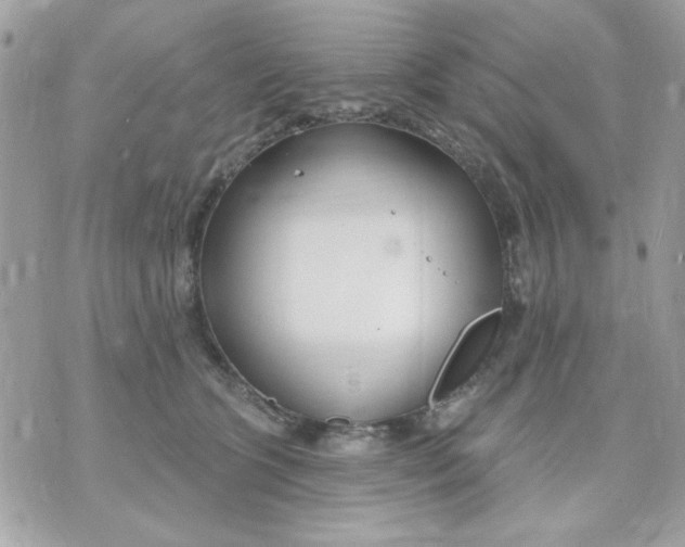 X0000070880563200607071950