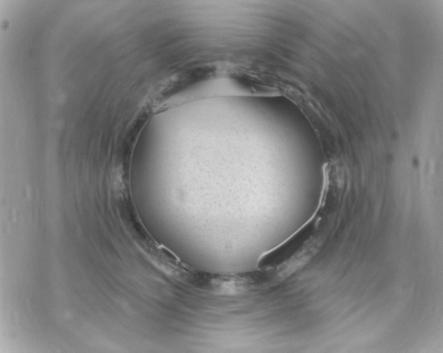 X0000070880564200607071950