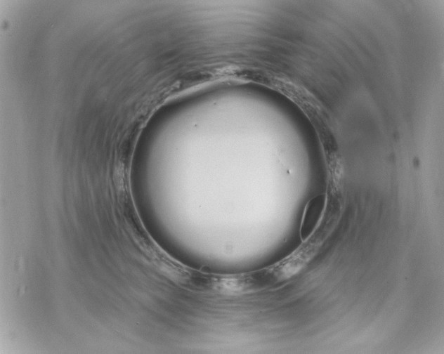 X0000070880565200607071950