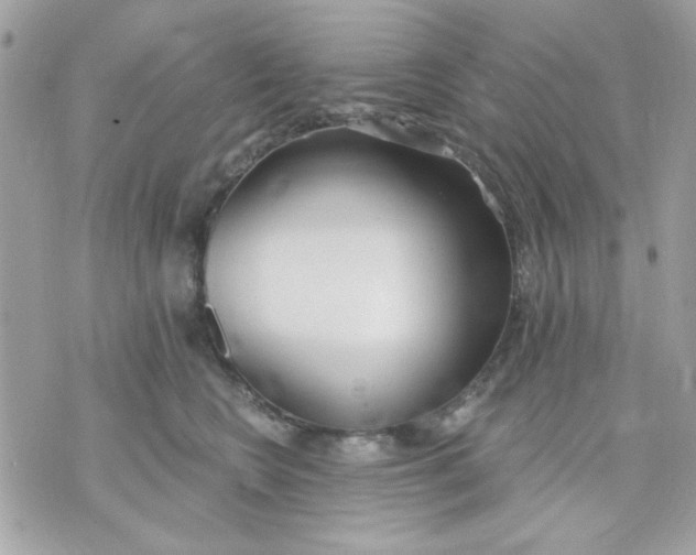 X0000070880566200607071950