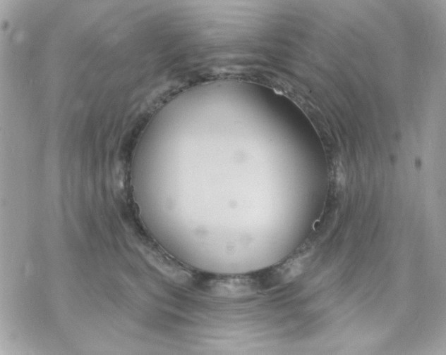 X0000070880567200607071950