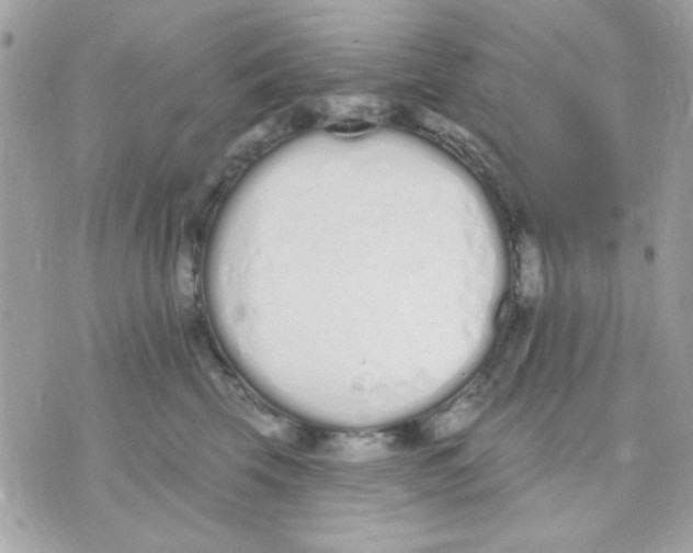 X0000070880569200607071951