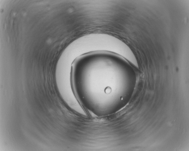 X0000070880570200607071951