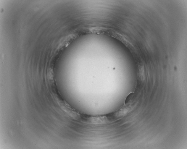 X0000070880571200607071951