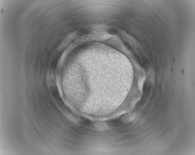 X0000070880572200607071951