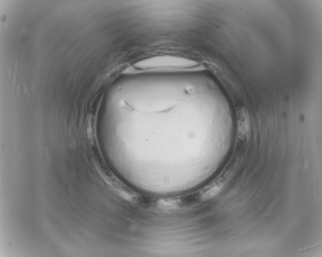 X0000070880573200607071951