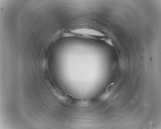 X0000070880574200607071951