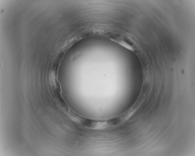 X0000070880575200607071951