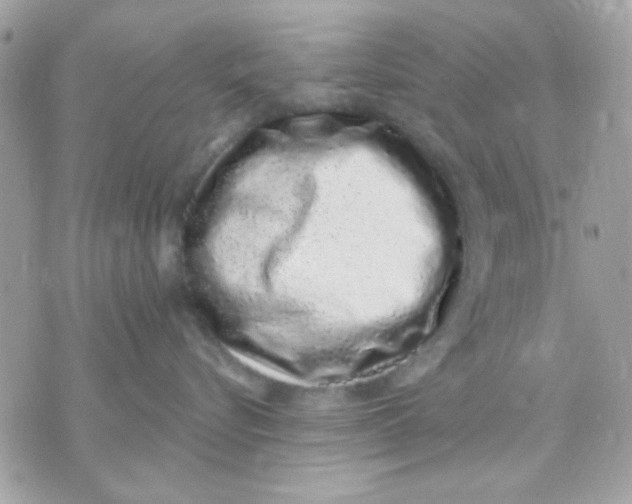 X0000070880576200607071951