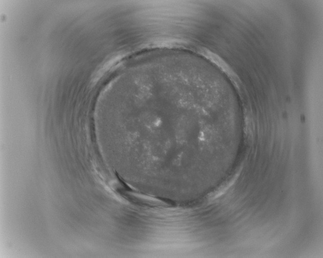 X0000070880577200607071950