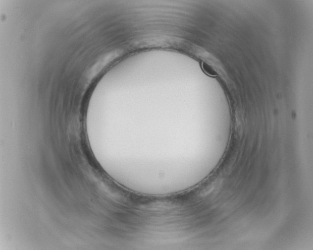 X0000070880578200607071950