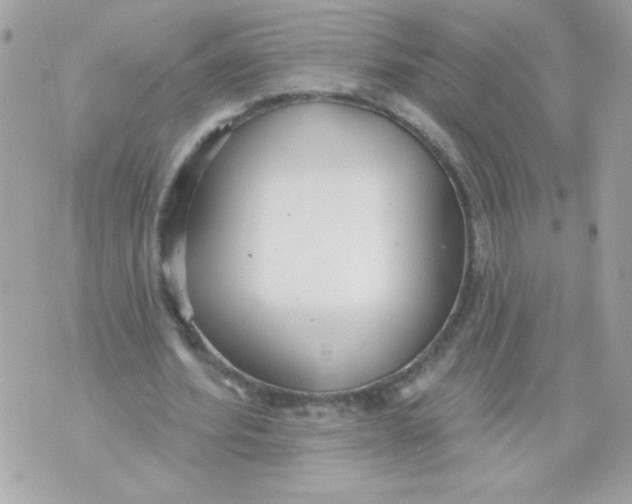 X0000070880580200607071950