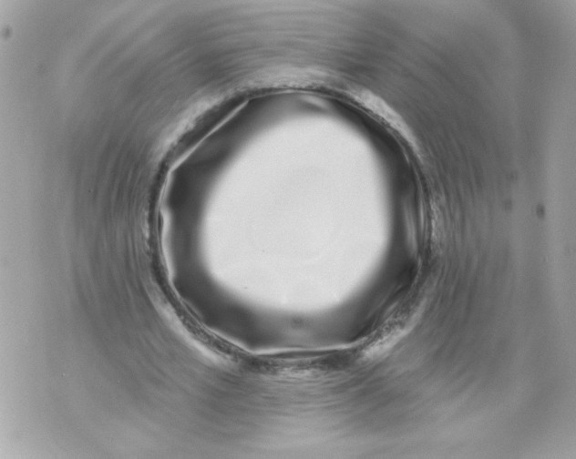 X0000070880581200607071950