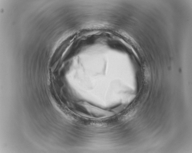 X0000070880582200607071950