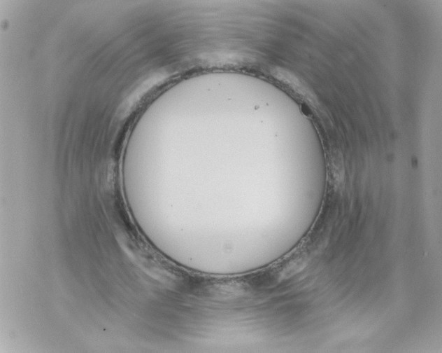 X0000070880583200607071950