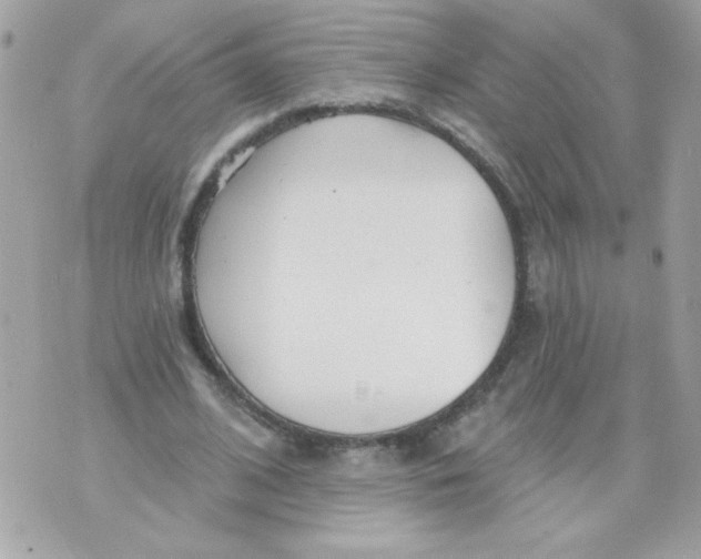 X0000070880584200607071950