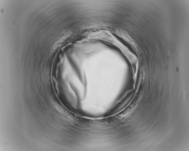 X0000070880585200607071950