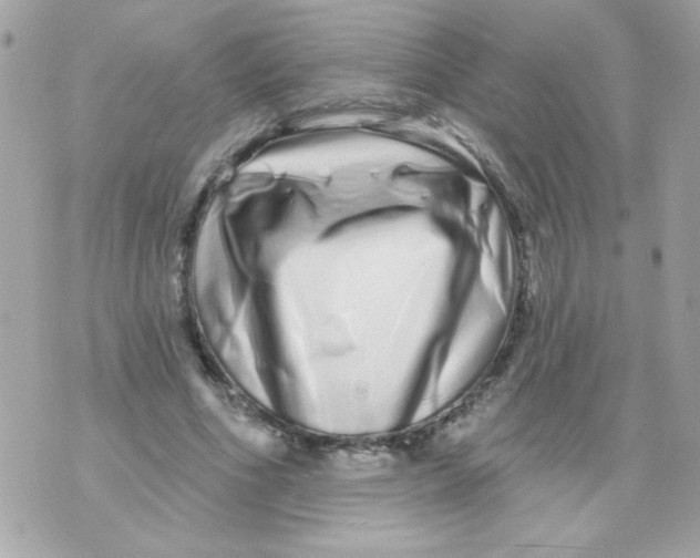 X0000070880586200607071950