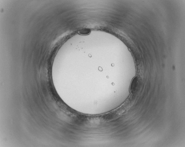 X0000070880587200607071950