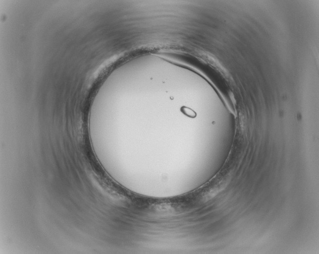 X0000070880588200607071950