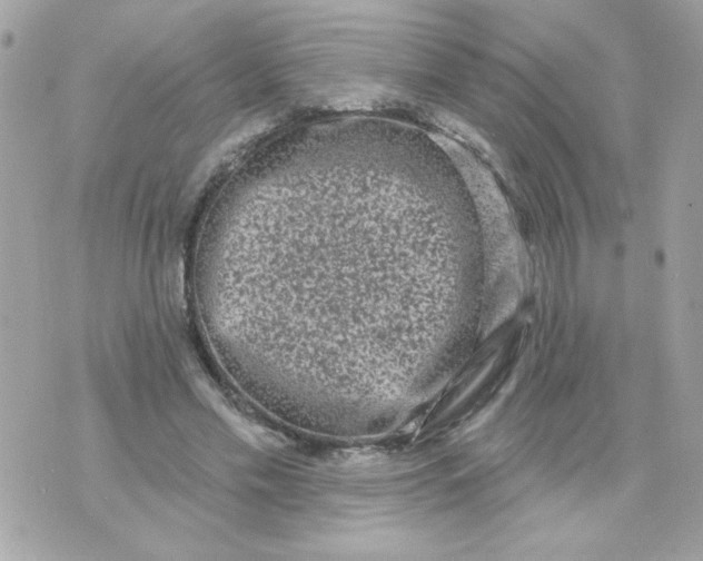 X0000070880589200607071950