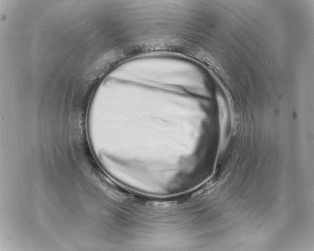 X0000070880590200607071950