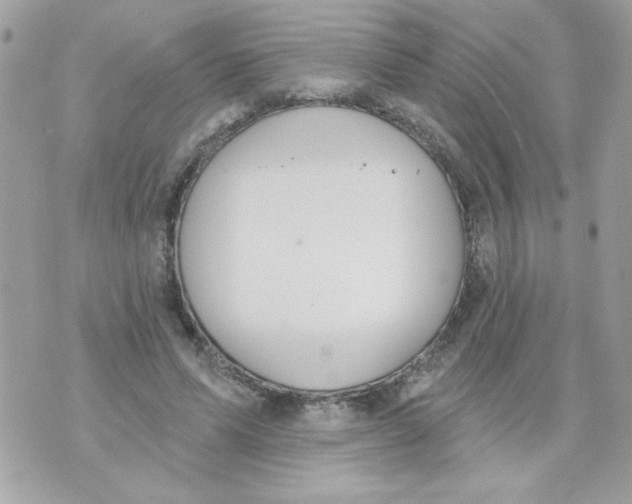 X0000070880591200607071950