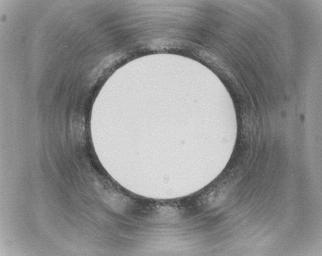 X0000070880592200607071950