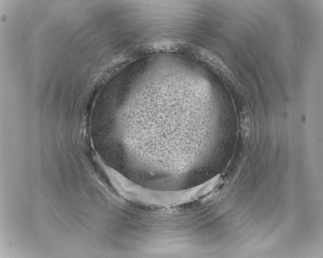 X0000070880593200607071950