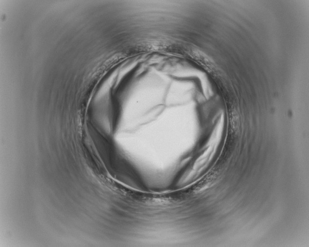 X0000070880594200607071950