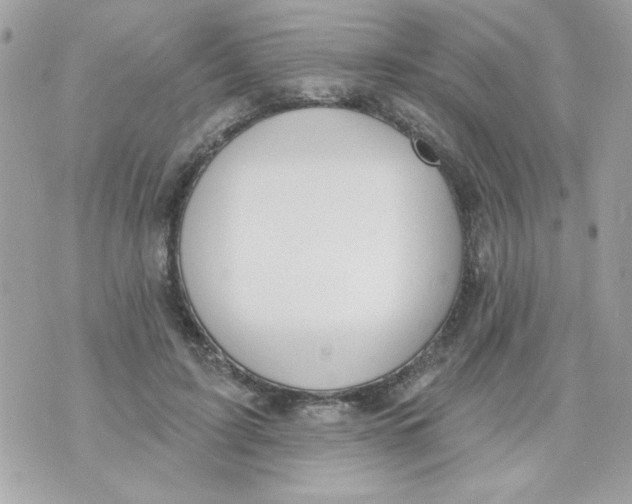 X0000070880595200607071950