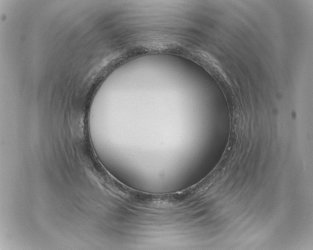 X0000070880596200607071950