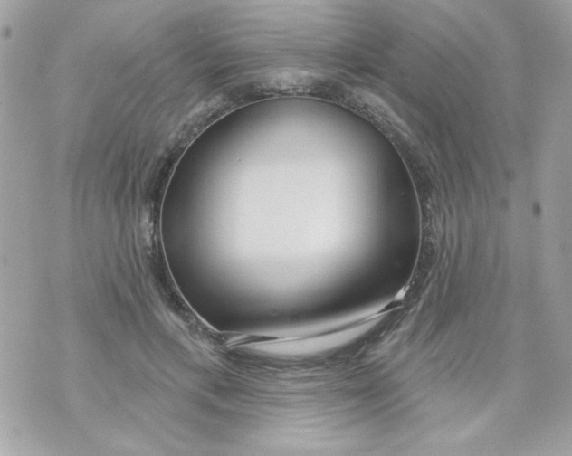 X0000070880597200607071950