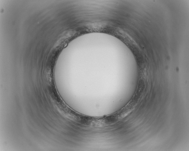 X0000070880599200607071950