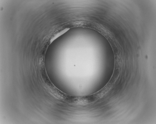 X0000070880601200607071949