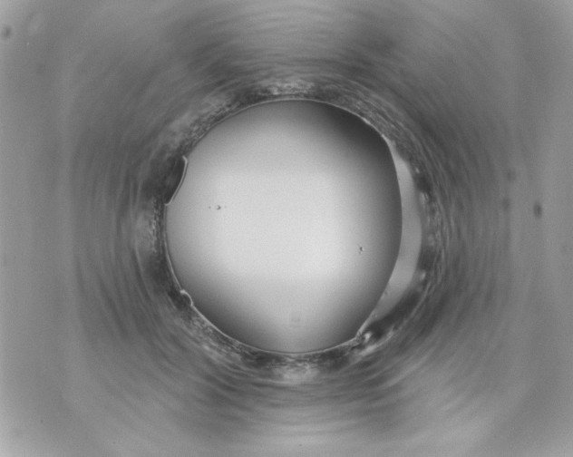 X0000070880604200607071949