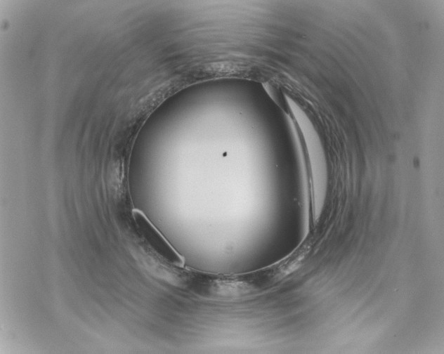 X0000070880605200607071949