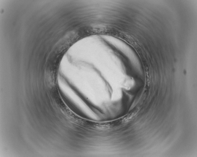 X0000070880606200607071949